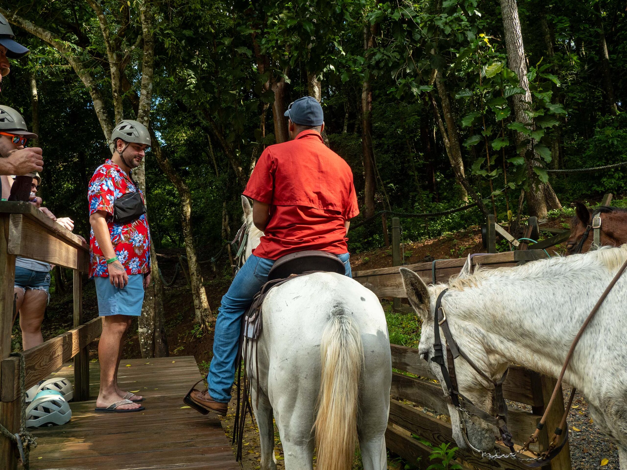 Horse Back Riding - Image 2