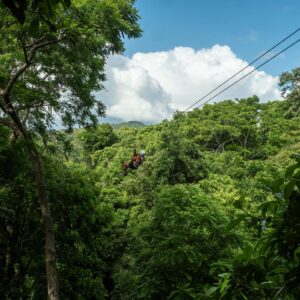 Zip Line