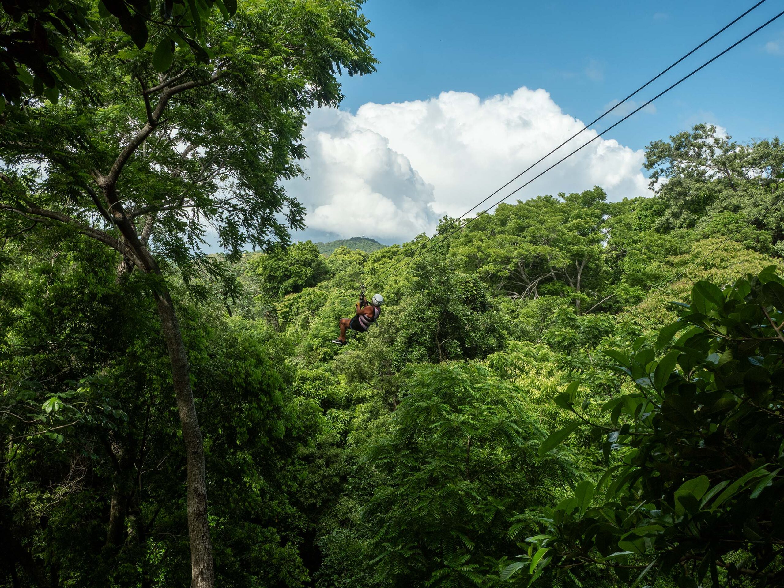 Zip Line