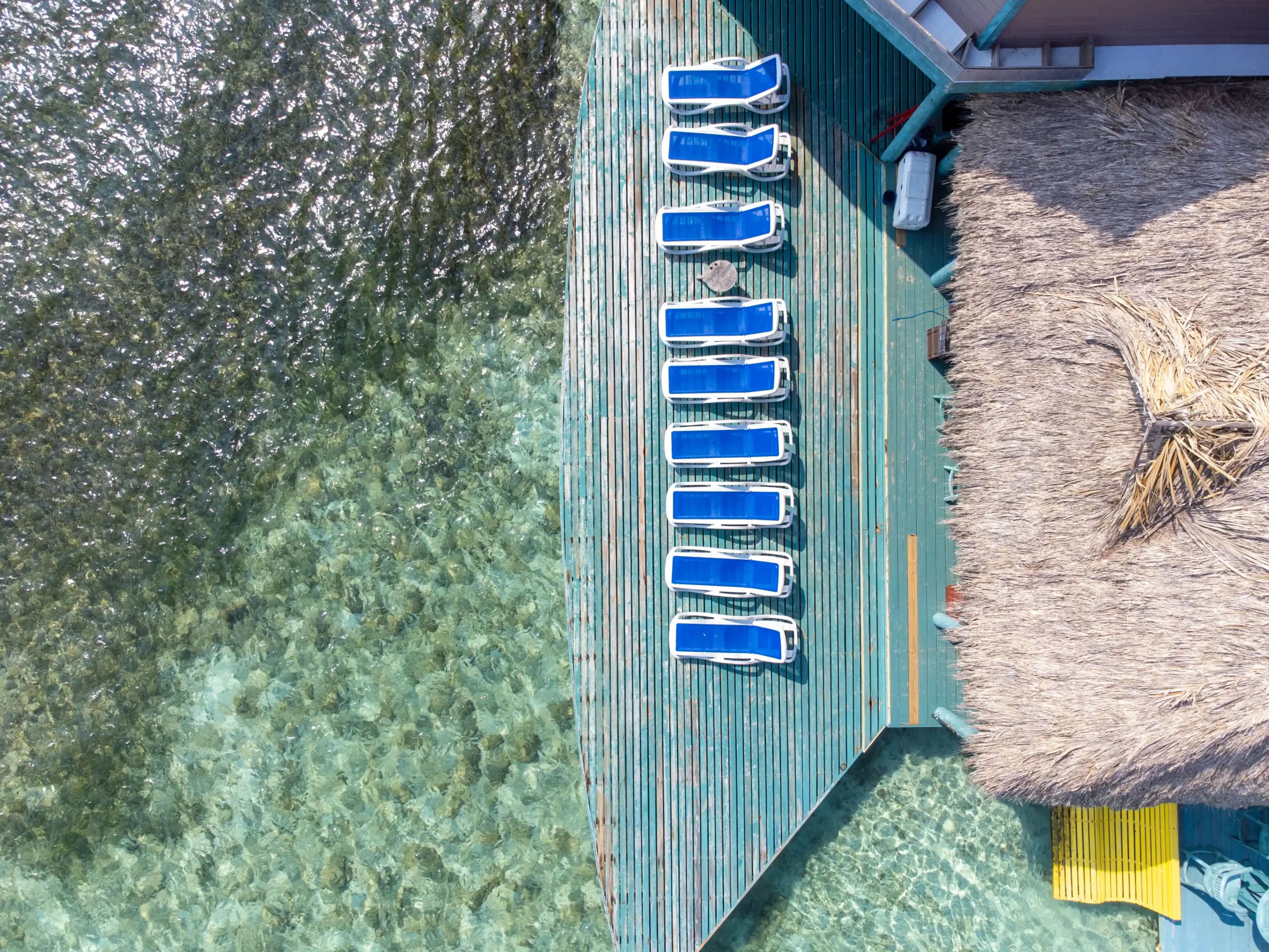 Little French Key - Image 5