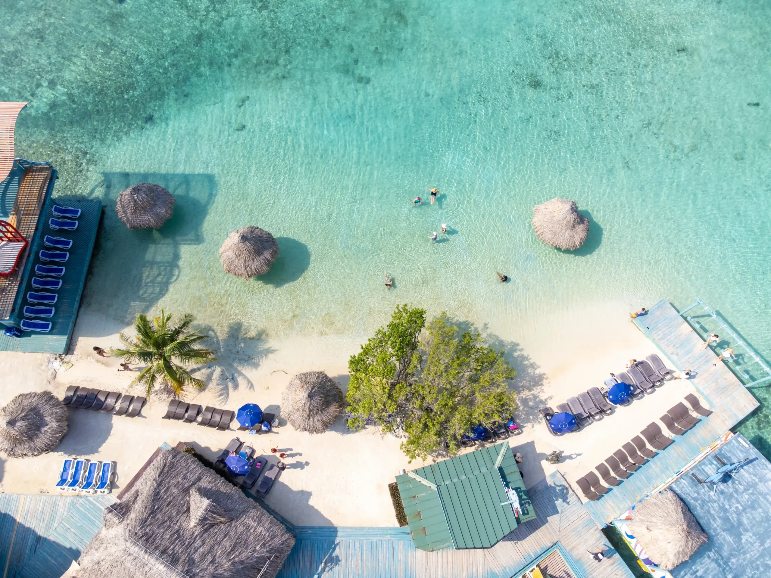 Little French Key - Image 4