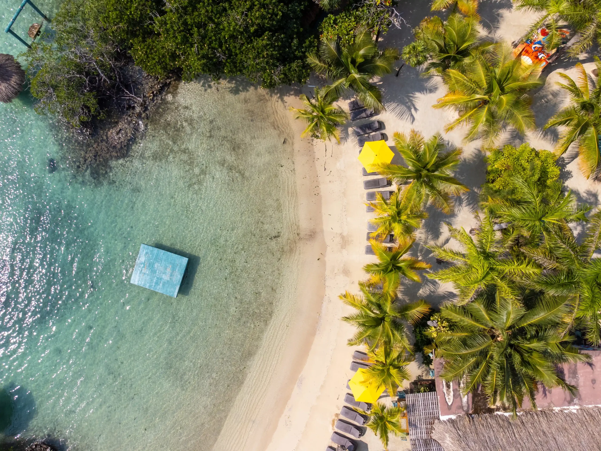 Little French Key - Image 6