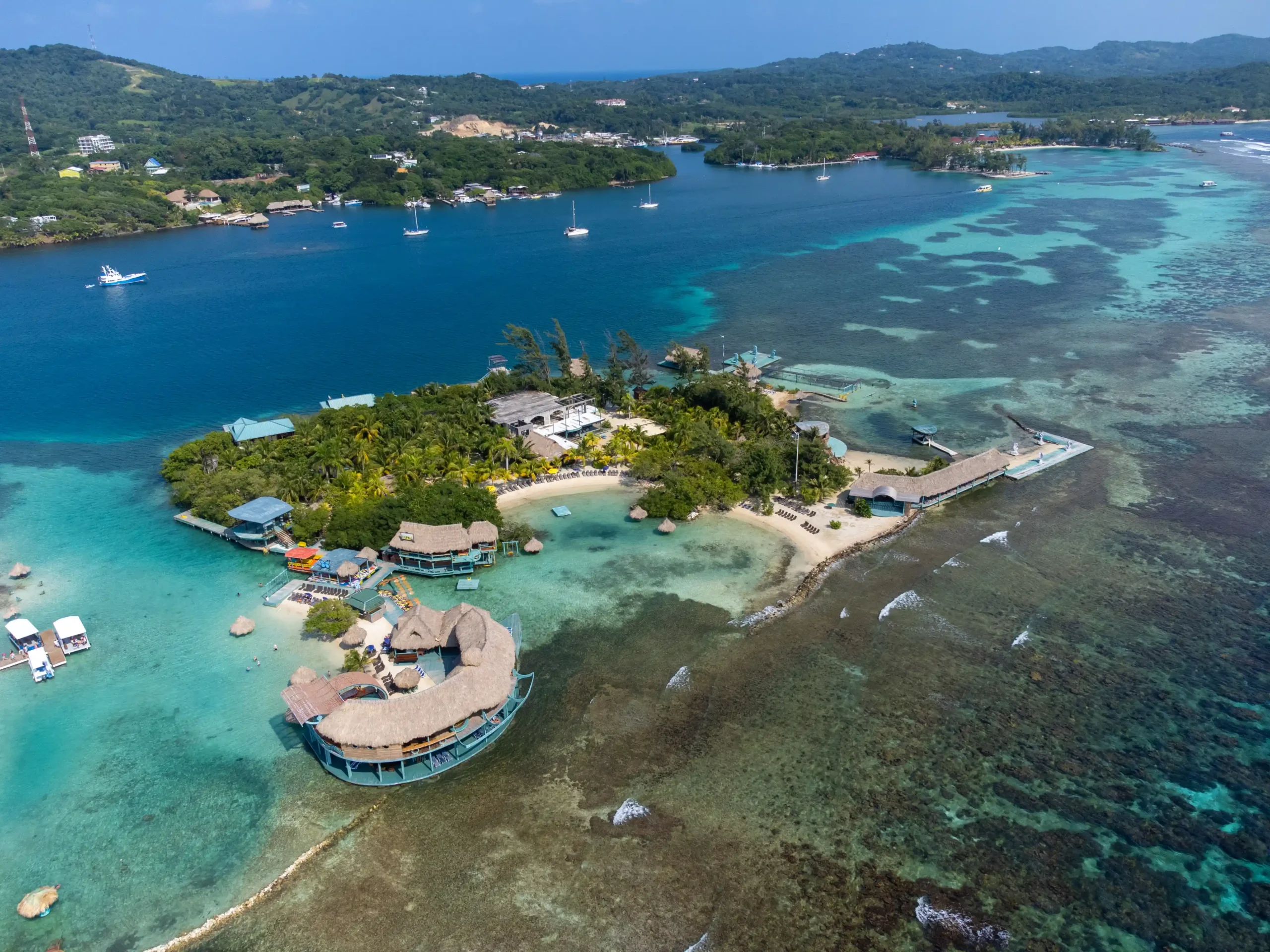 Little French Key - Image 3
