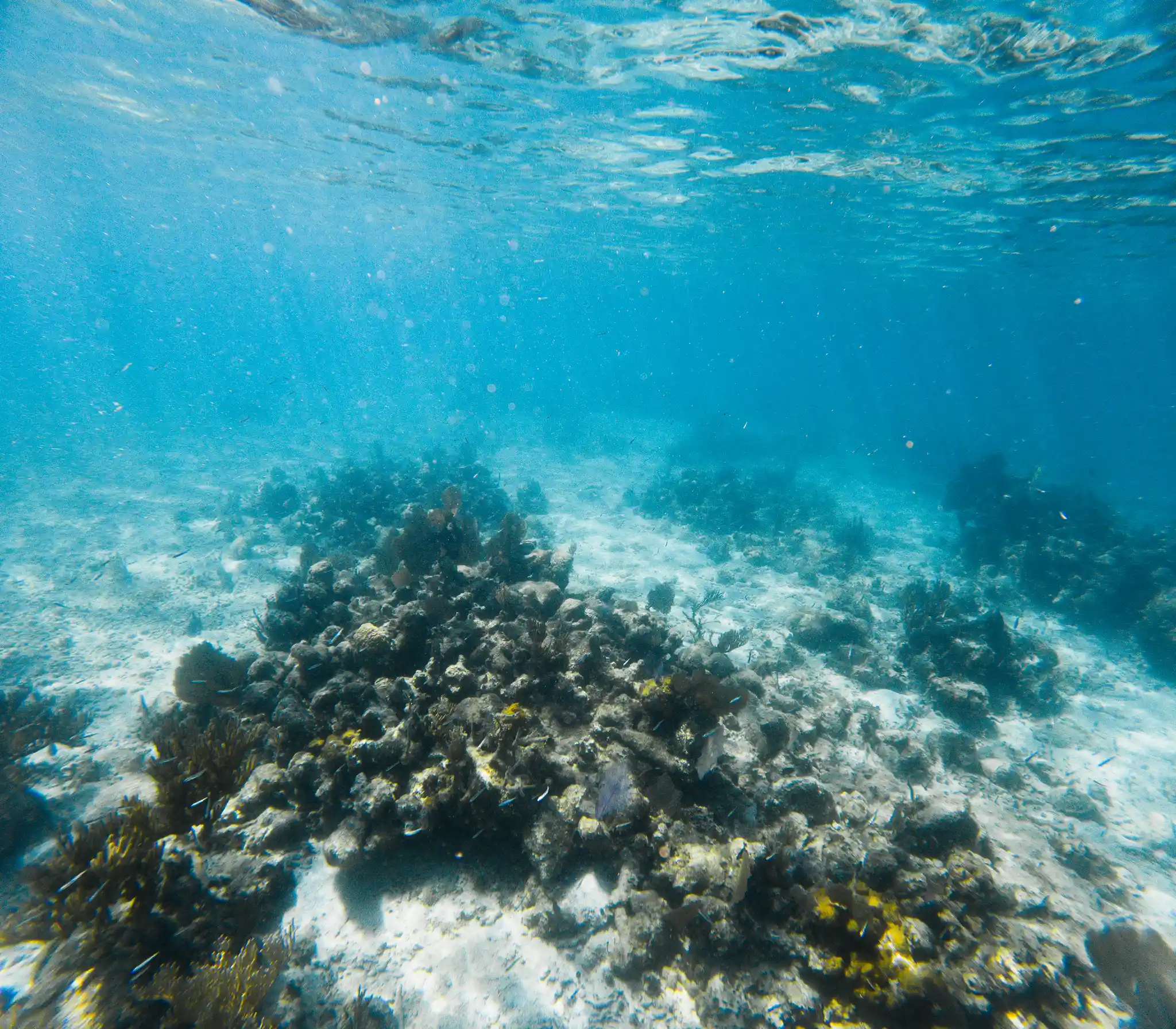 Pigeon Cay - Image 4
