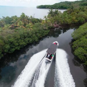 Mangrove Tunnel Tour