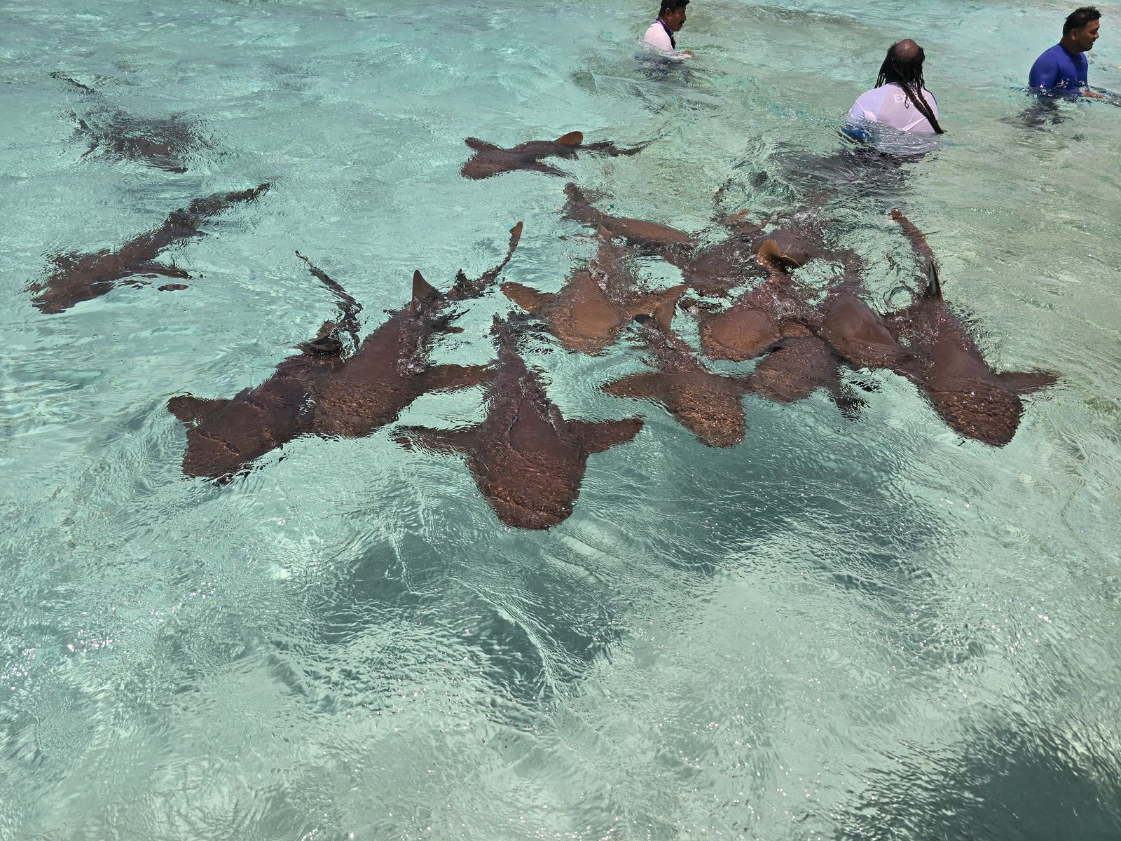 Pigeon Cay