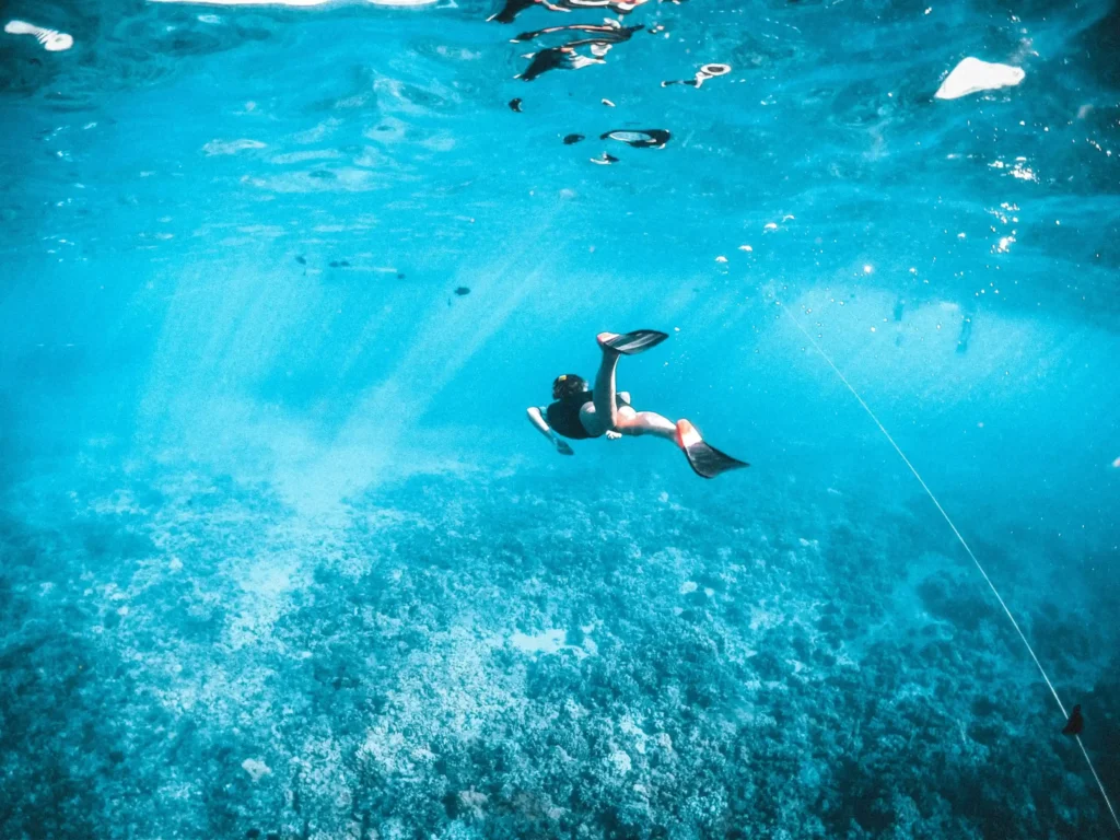 Snorkeling Adventure