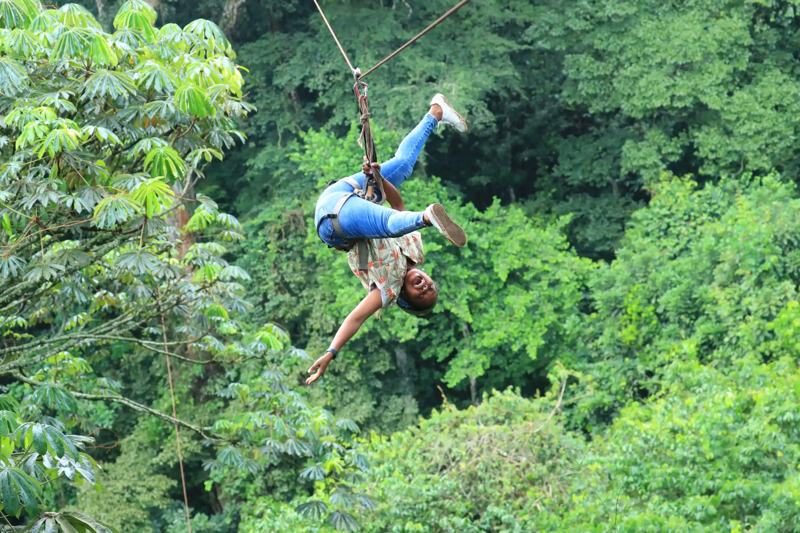 Zip Line - Image 3