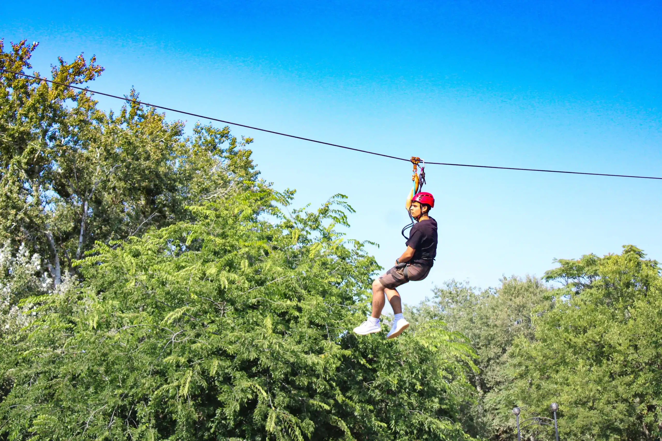 Zip Line - Image 4