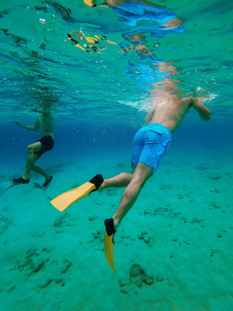 Snorkeling Adventure