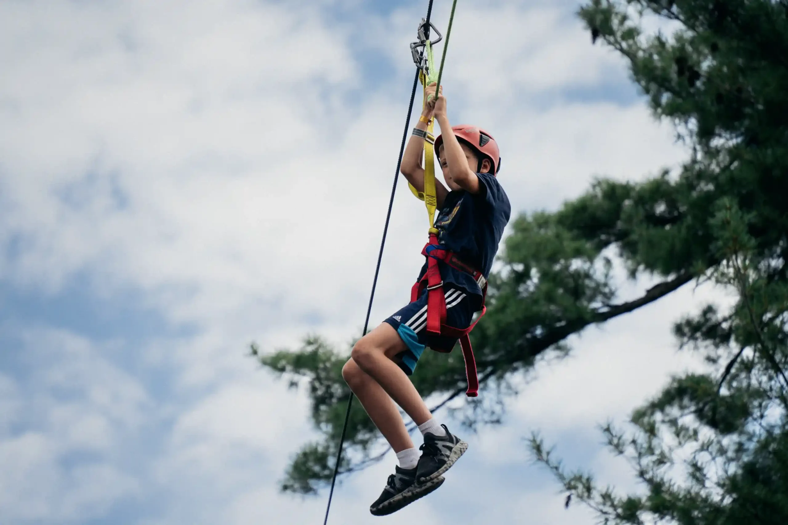 Zip Line - Image 2