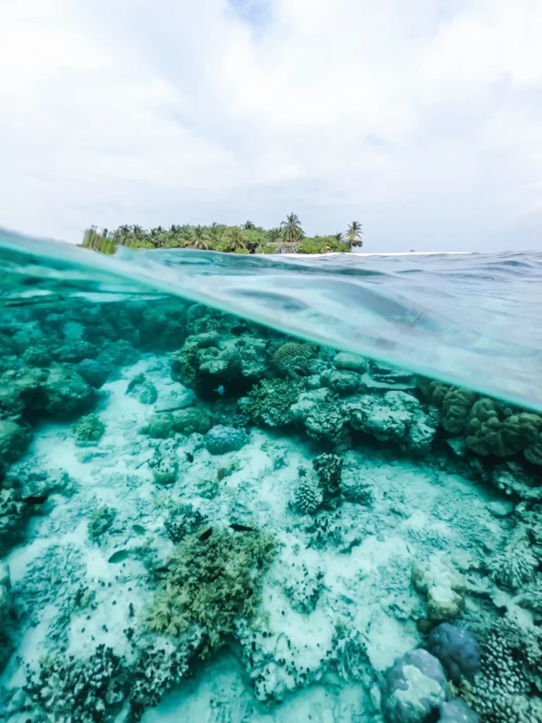 Snorkeling Adventure