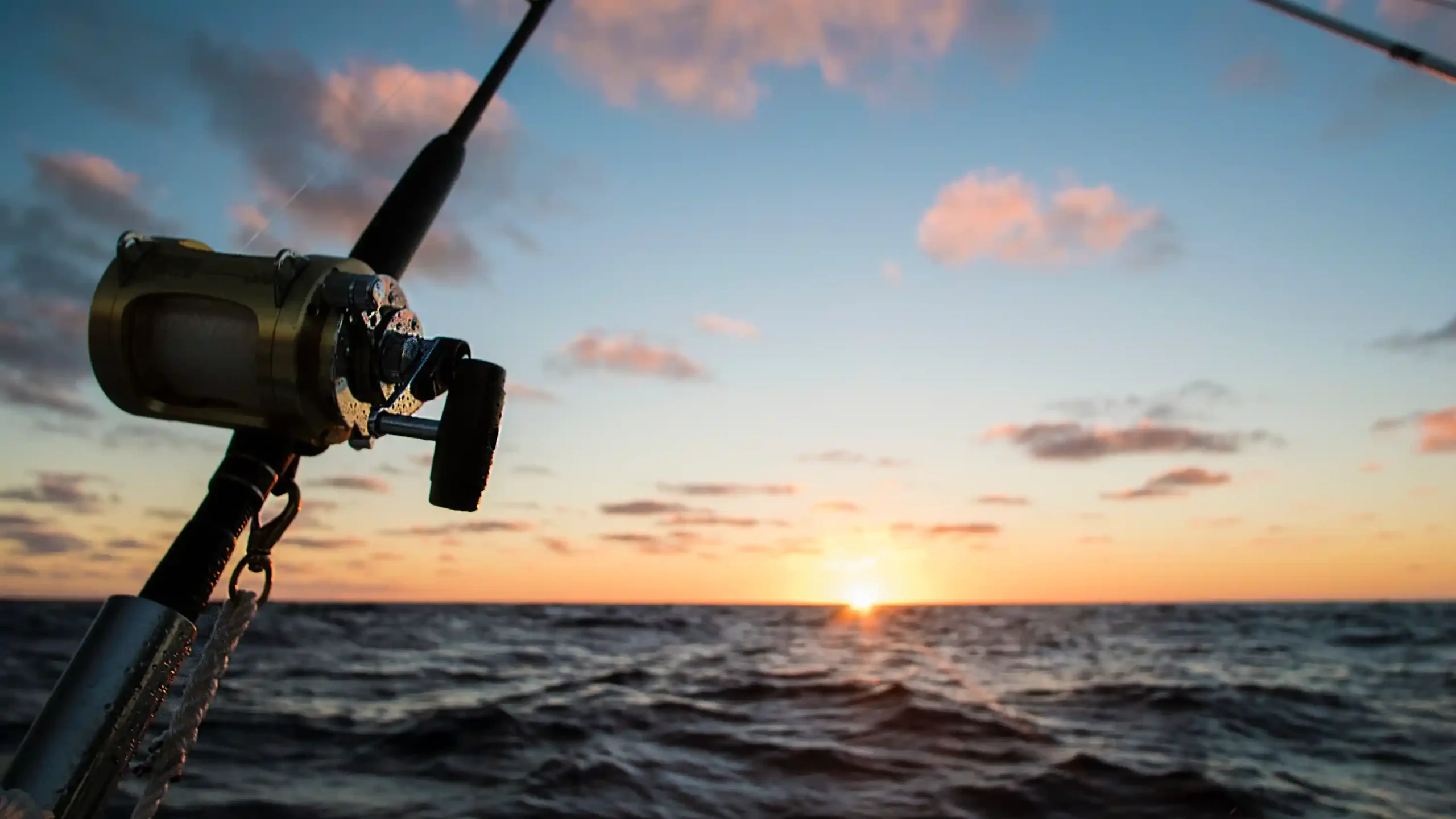 Fishing - Image 3