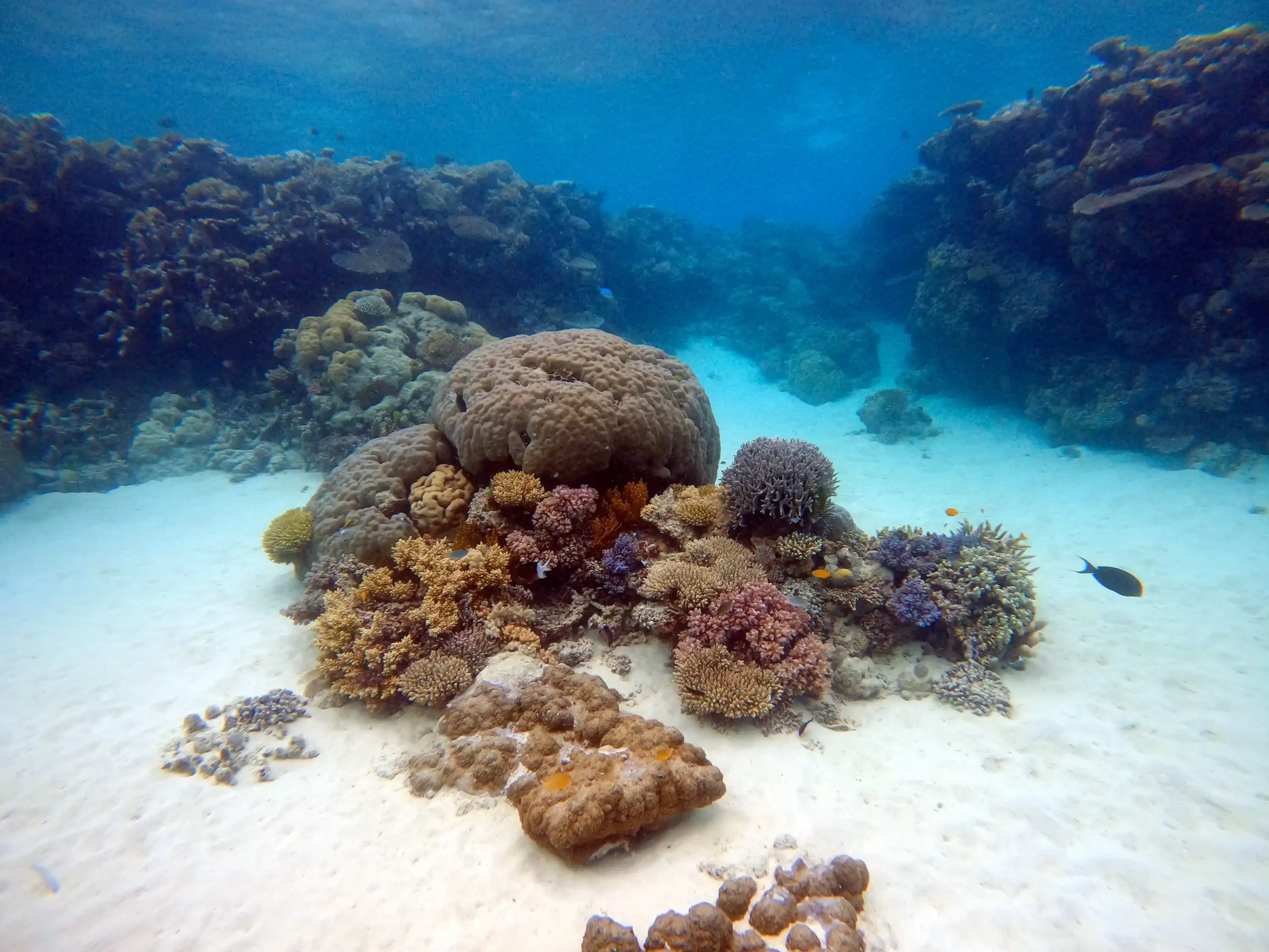 Glass bottom Boat - Image 2