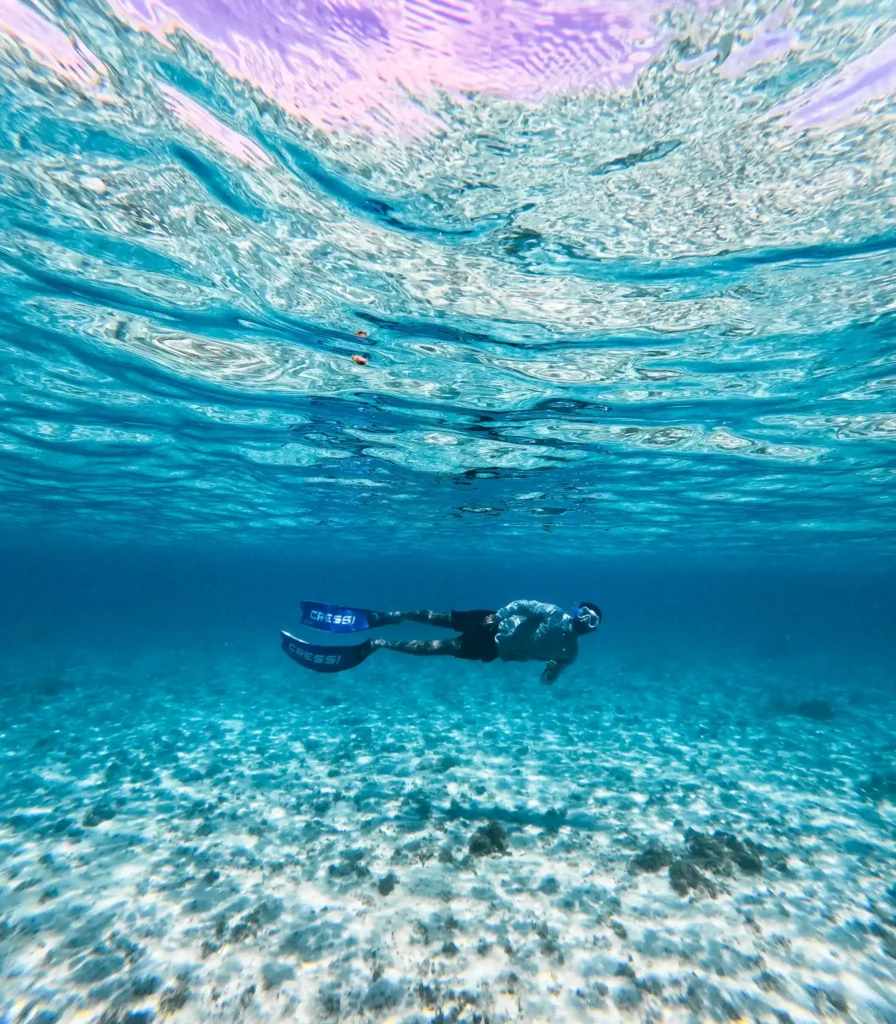 Snorkeling Adventure