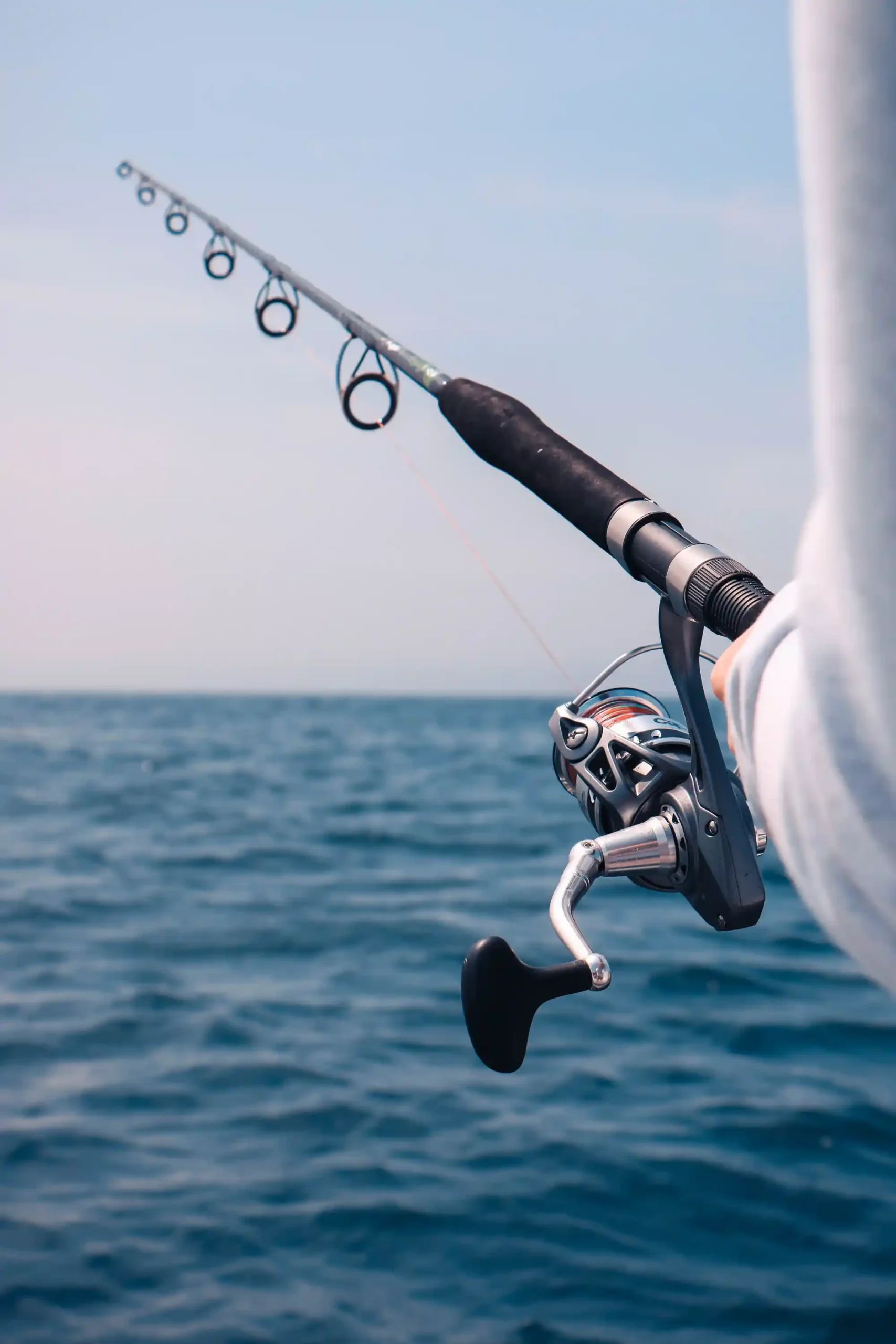 Fishing - Image 4